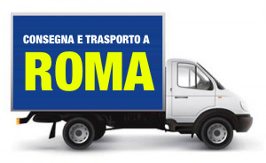 camion-300x184